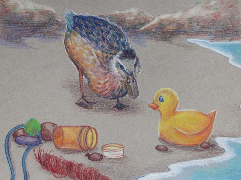 Young artists artwork depicting a duck on a beach strewn with rubbish: looking eye-to-eye with a rubber duck