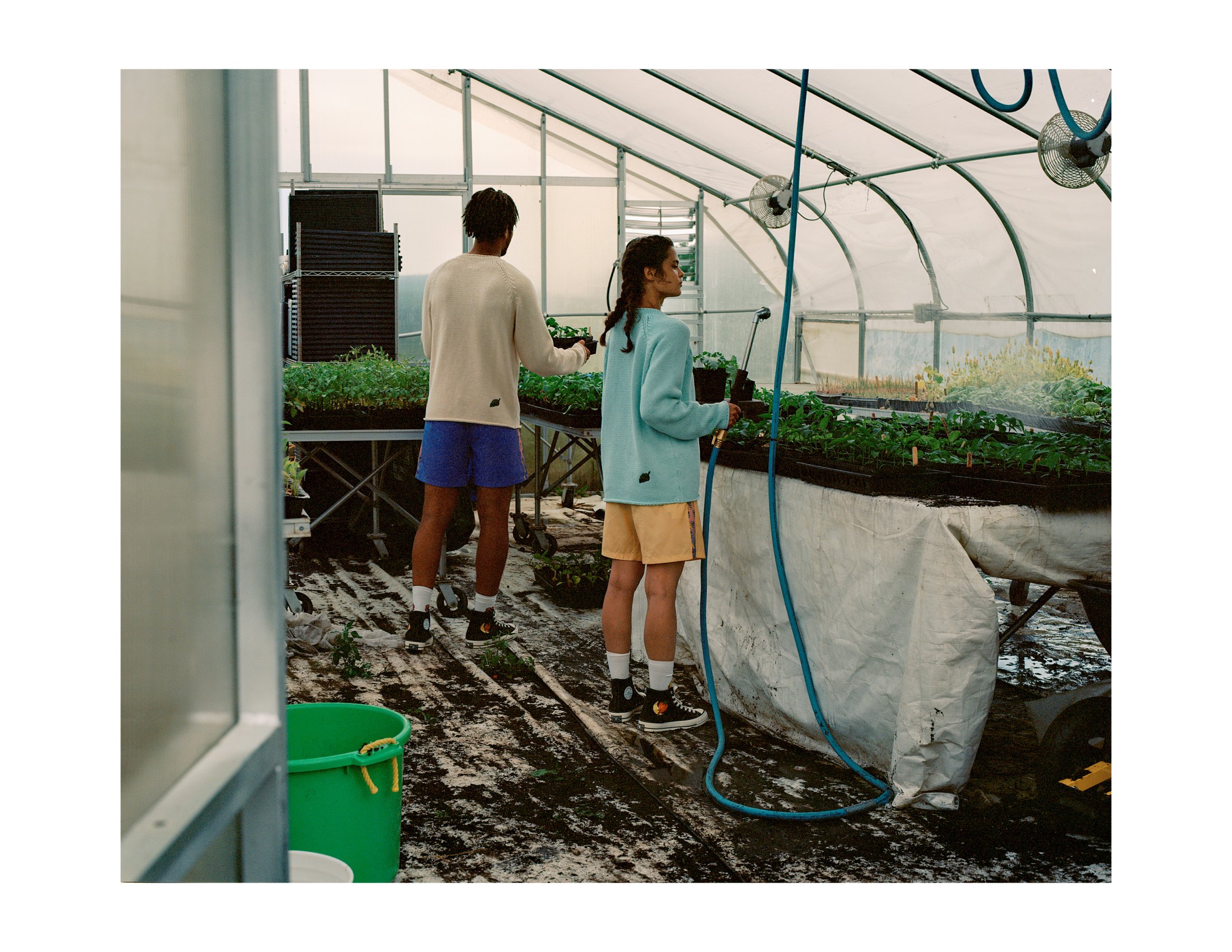 Sky High Farm Two people wearing jumpers, shorts, socks and basketball sneakers standing in a greenhouse as they care for and water plants set out in trays on tables